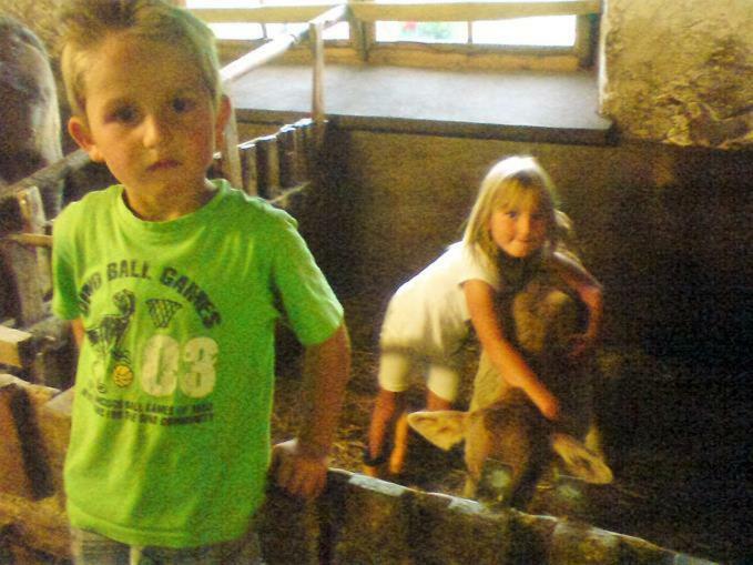 Bio-berghof *